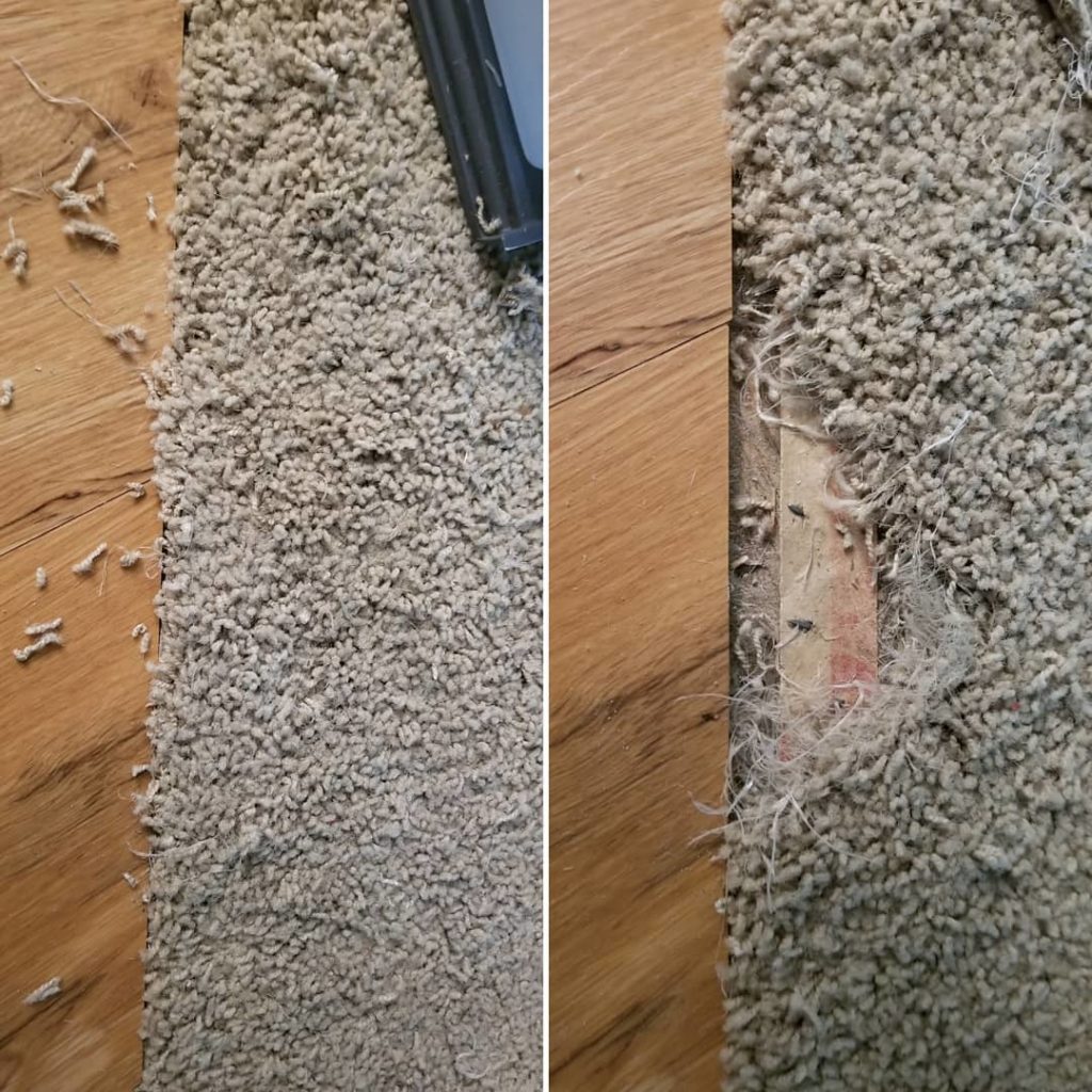 Carpet Repair